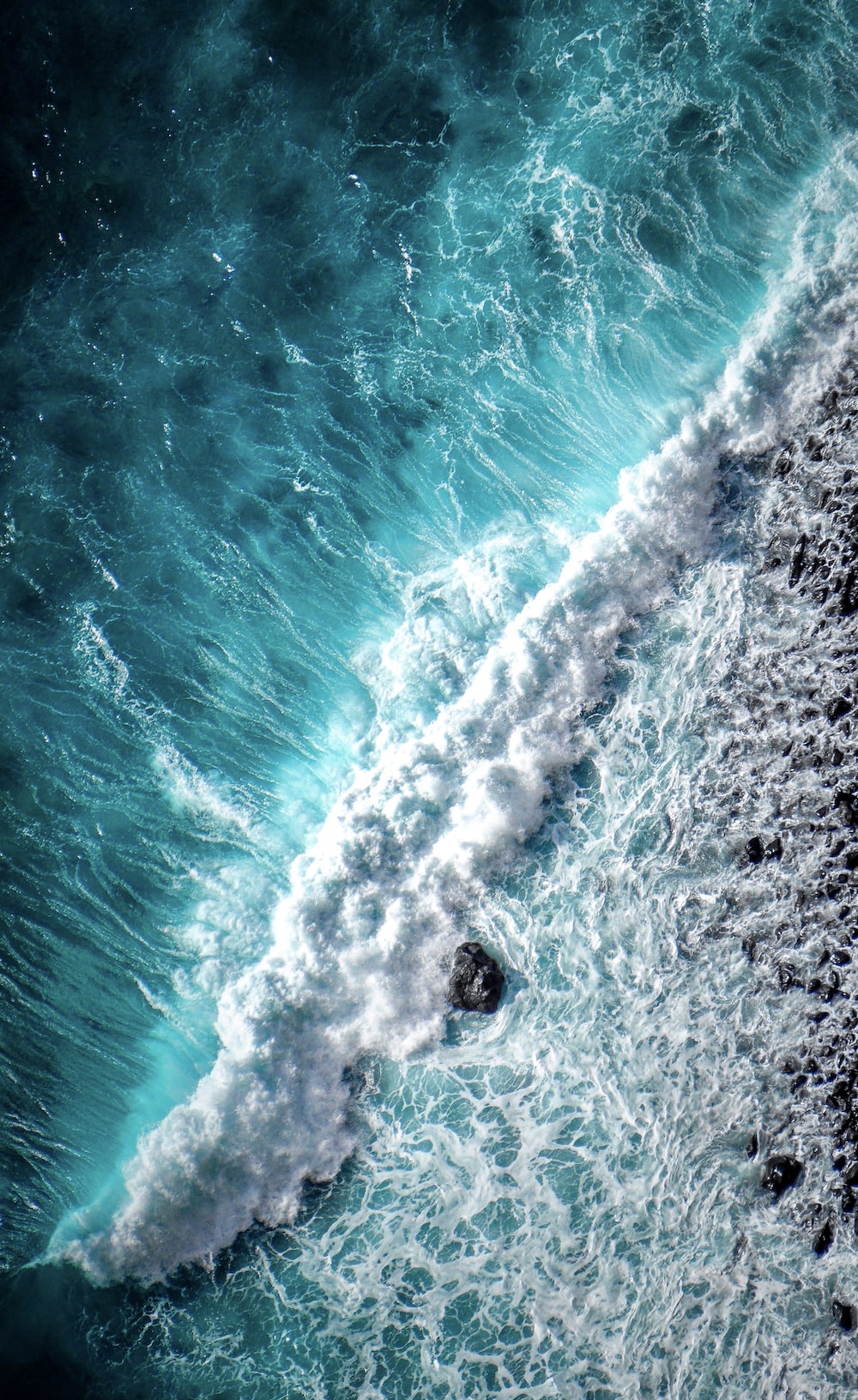 Save the Ocean