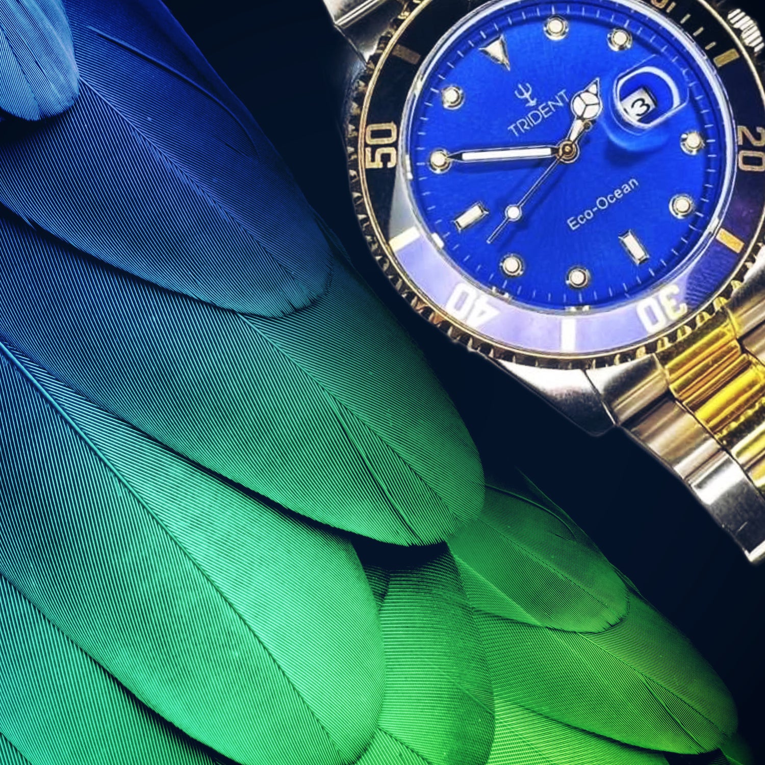 Fun Facts about Watches! Trident Watch UK